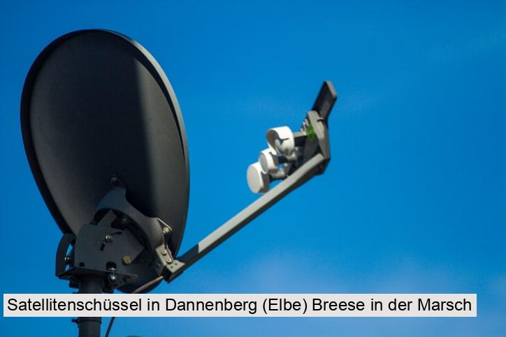Satellitenschüssel in Dannenberg (Elbe) Breese in der Marsch